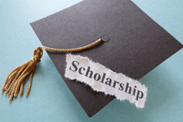 government of Canada scholarships