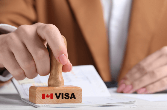 Everything You Need to Know About Canada Express Entry